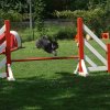 agility 2011-07-24